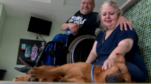 Carlos Alberto e Mônica Pillon são criadores e defensores da causa animal, e agora, os novos tutores do Caramelo. Foto: Reprodução/Internet