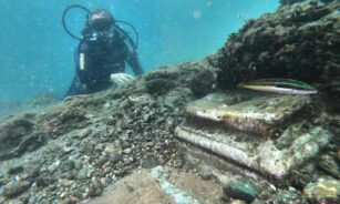 Foto: Reprodução/Internet