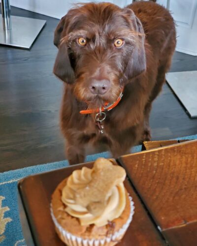 Tess leva todos os cupcakes com muito carinho - Foto: reprodução TikTok