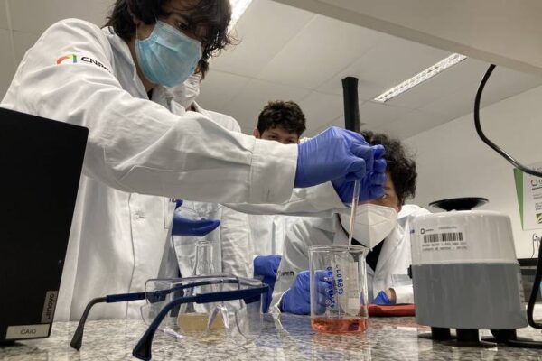 Os selecionados farão custo de bacharelado sem nenhum custo - Foto: Ilum