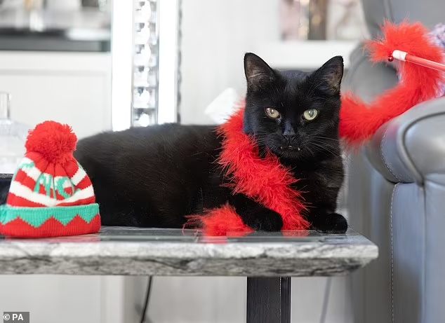 Depois da adoção de Billy o casal acertou na loteria e ficou milionário - Foto: arquivo pessoal