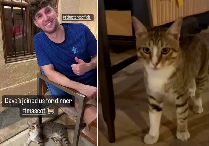 Foram os atletas Kyle Walker e John Stones que se apegaram mais ao gatinho e começaram a cuidar dele. Fotos: Reprodução/Redes Sociais
