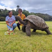 Foto: @st.helena.tourism