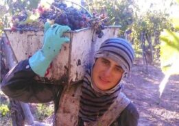 O jovem trabalhava de 8h a 12h por dia, sob sol e chuva, depois ia para a faculdade. Foto: Reprodução/Internet