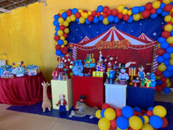 "São 28 anos de vitória, de luta, de batalha contra a morte. Ele tem convulsões todos os dias. Eu tenho muitos motivos para comemorar por mais um dia, imagine um ano", disse. Foto: Reprodução/Internet