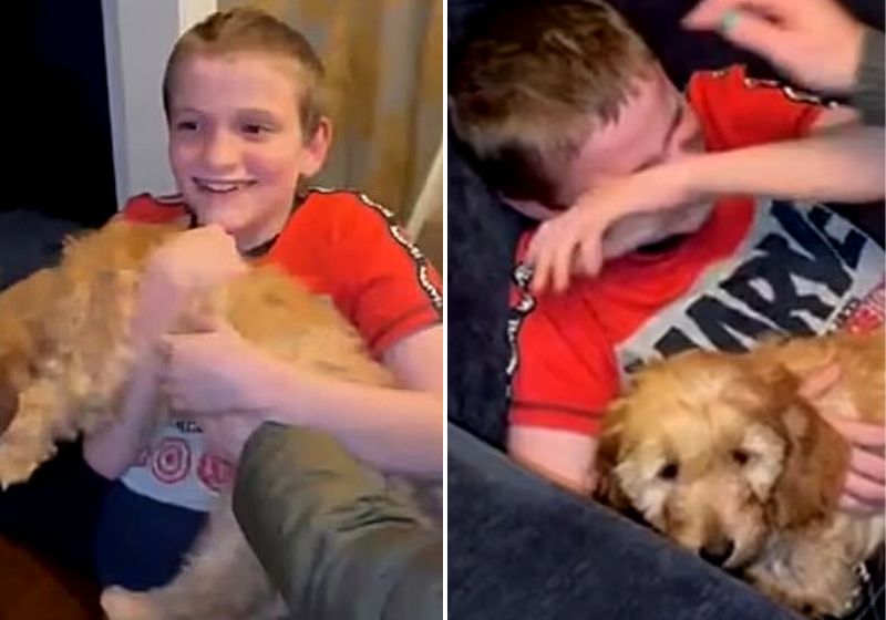 A filhote de cachorro foi abandonada por ter deficiência e agora ela é a felicidade do menino. Fotos: Reprodução/vídeo