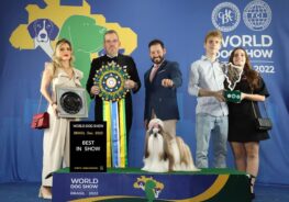 Foto: @shihtzubrpeppers