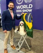 Foto: @shihtzubrpeppers