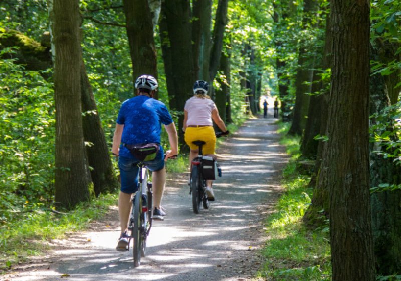 Exercícios contra o Alzheimer. A pesquisa mostra que 6 minutos de ciclismo vigoroso por dia ajudaram bastante - Foto: Philippe Oursel / Unsplash