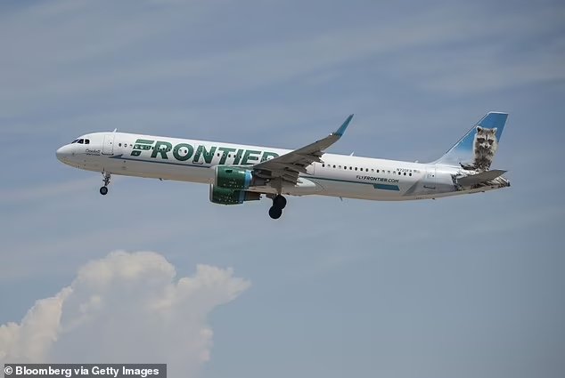 A companhia aérea que anunciou passagens gratuitas para quem adotar gatinhos - Foto: reprodução / Twitter