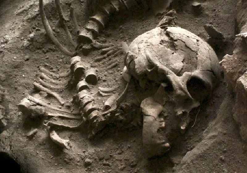 O 1º laboratório de arqueogenética do Brasil, no Museu de Arqueologia e Etnologia da USP, ai estudar o DNA de povos antigos do Brasil - Foto: reprodução / Jornal da USP