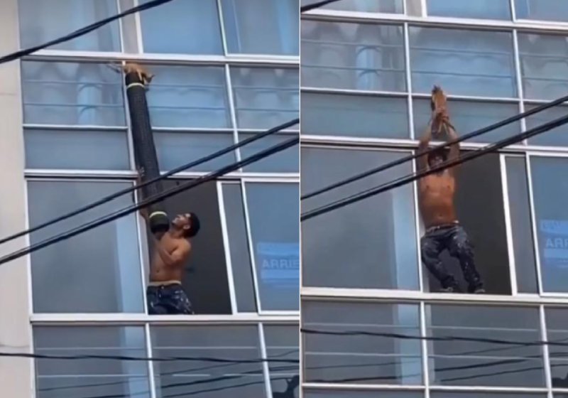 O rapaz arriscou a própria vida para salvar o gatinho que estava pendurado na janela do apartamento de cima - Fotos: reprodução / Panamericana Television