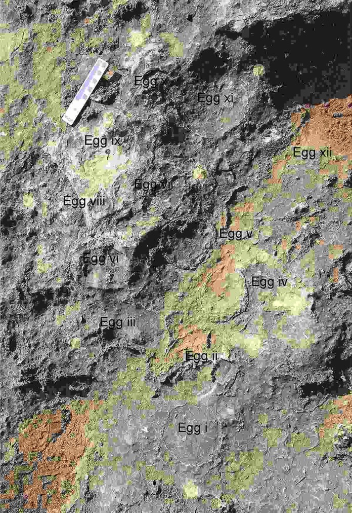 O local onde os ovos de Titanossauros foram encontrados - Foto: Harsha Dhiman et al, 2023, PLOS ONE, CC-BY 4.0