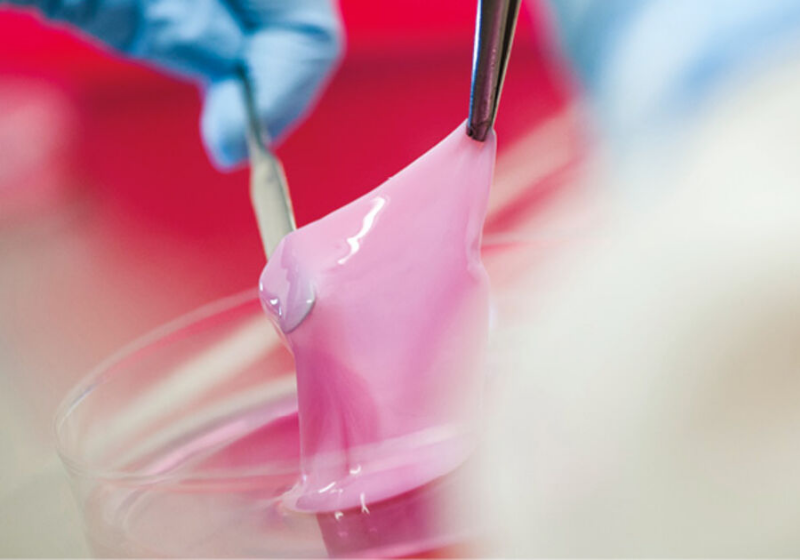 A pele artificial ajudará nos testes de cosméticos e medicamentos, além de preservar os animais - Foto: Léo Ramos