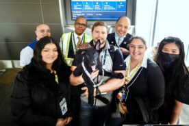 Ele recebeu muito carinho, cuidado e babá 24 horas. Não ficava nunca sozinho, todos os dias recebia visita de centenas de funcionários. Foto: Reprodução/Internet