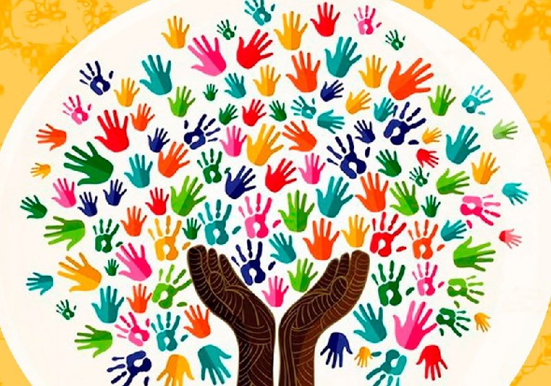 Para criar sua própria vaquinha, basta cadastrar as informações no site do Só Vaquinha Boa - Foto: reprodução / SVB