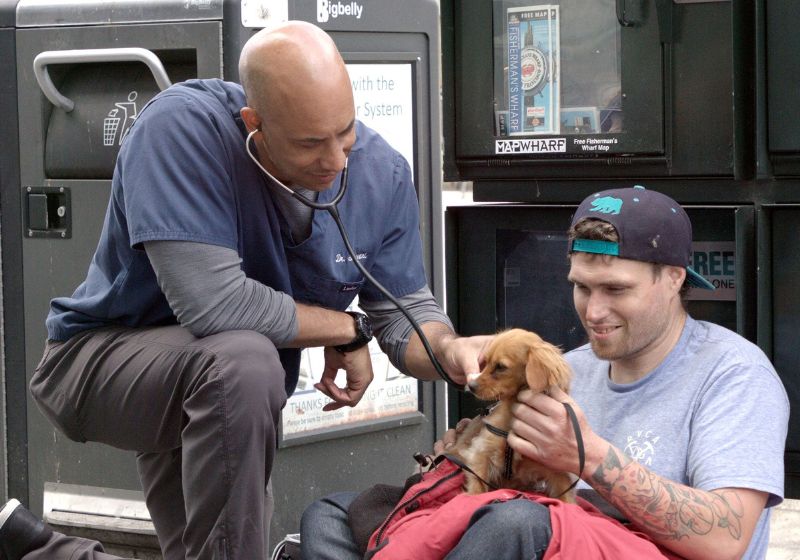 Kwane já tratou 400 animais nos nove anos em que trabalhou como veterinário de rua. Foto: Reprodução/Internet