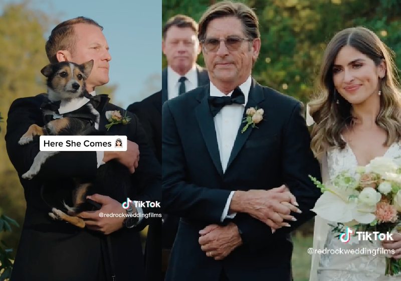 O cão Nick chora ao ver a tutora de noiva e o noivo o pega no colo para confortar - Fotos _ reprodução /