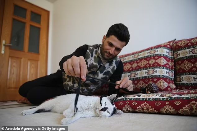 E brincam juntos também!