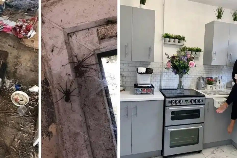 A casa abandonada estava cheia de aranhas - Foto: reprodução / Instagram