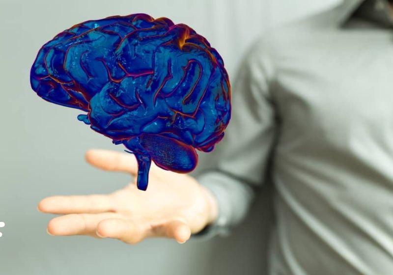 NeuralTree, a próxima geração de neurochips promete ser ainda mais precisa na detecção de sinais de doenças neurológicas. Foto: Reprodução/FuturoProssimo.