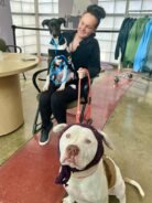 O post fez tanto sucesso, que Willy foi adotado por uma família cheia de amor. Foto: Reprodução/Redes Sociais