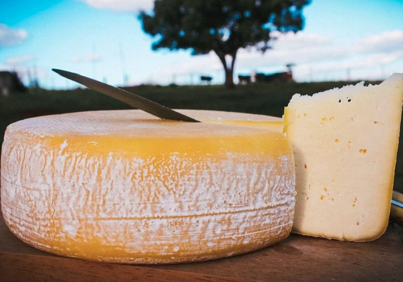 Entre os queijos brasileiros no ranking internacional está o Canastra, em 11º lugar - Foto: reprodução /A Canastra