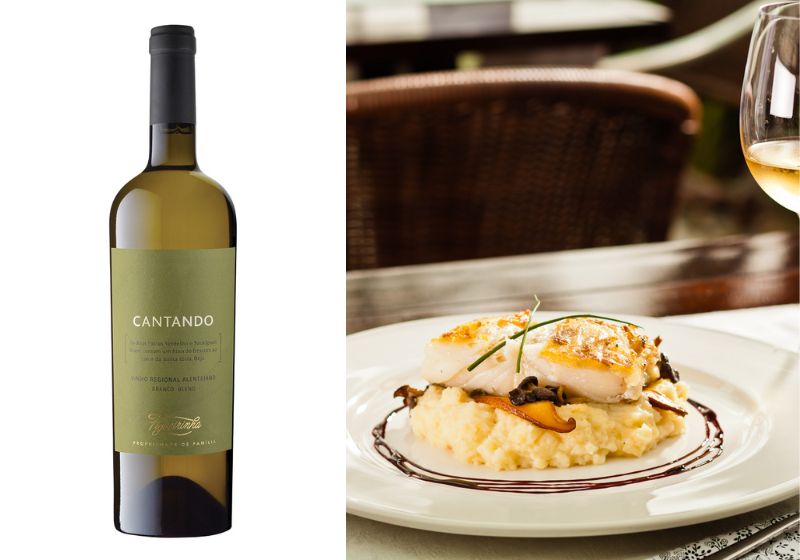 Como escolher o vinho? Comida leve, vinho leve - Foto: Reprodução/SouBH e Tua Vinharia.