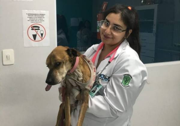 Náthaly é formada no curso de Auxiliar Veterinária e ama os animais - Foto: Arquivo pessoal
