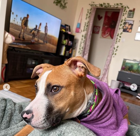 Já com os novos tutores, Barbie ganhou muito amor e carinho. Ah, e um novo Instagram dedicado só pra ela! Foto: Reprodução/@barbie_berry_cute/Instagram.