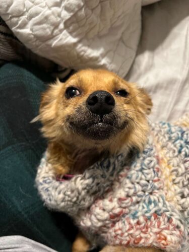 Olha esse sorrisinho! - Foto: NDLB