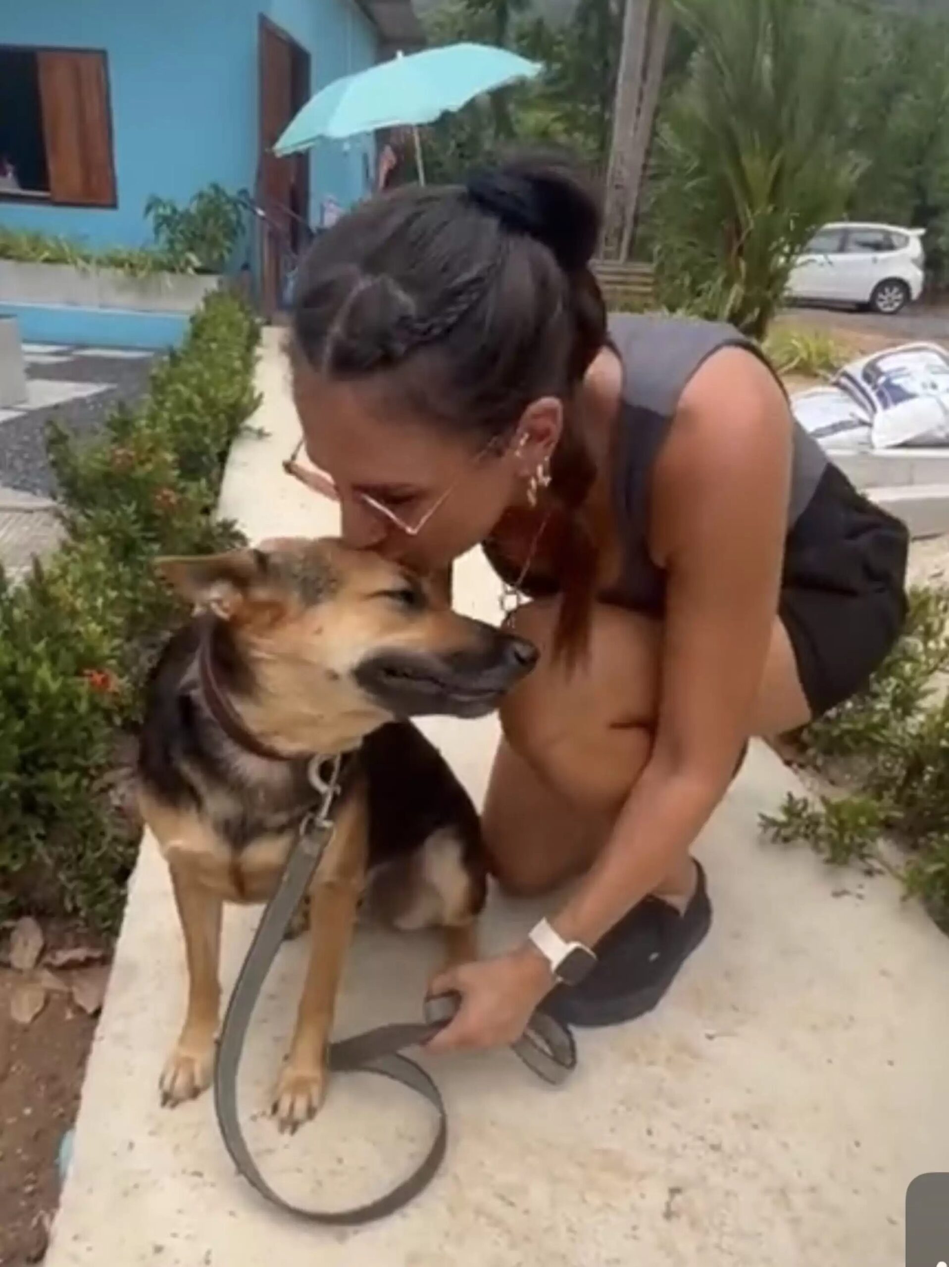 A filhote ferida ganhou o nome de Hope, Esperança em inglês - Foto: TWITTER/@NIALLHARBISON