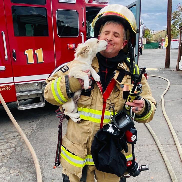 A lambida de agradecimento que está correndo o mundo. - Foto: Facebook @Phoenix Corpo de Bombeiros