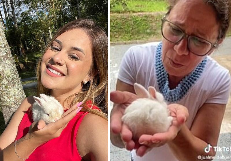 Ao comprar o coelho escondido, a filha pensou que ia levar uma bronca enorme da mãe, mas aconteceu justamente o contrário! - Fotos: reprodução / TikTok