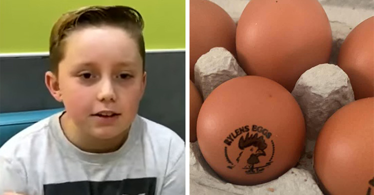 Rylen, o menino de 11 anos que cria galinhas e vende ovos mais baratos, virou empresário - Foto: reprodução / Facebook