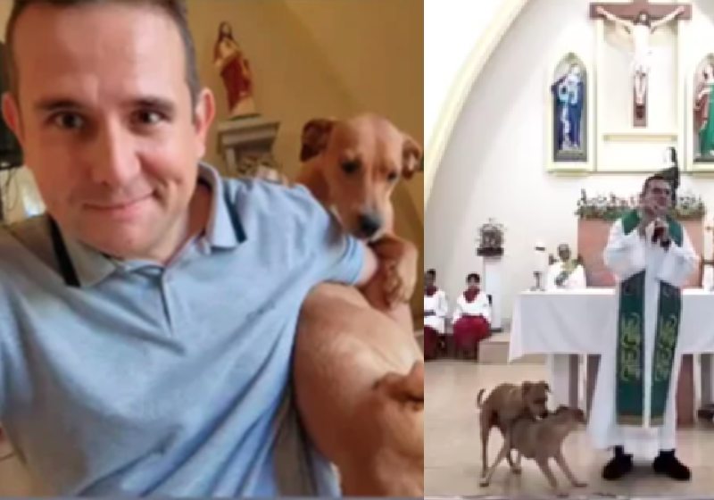 O Padre Pierre adotou os cães que ‘invadiram’ a Missa do Impossível e namoraram no altar na frente de todos! - Fotos:L reprodução / redes sociais