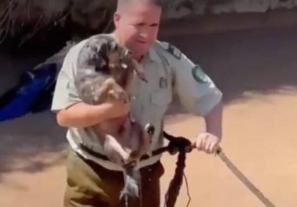 Como um verdadeiro herói, o oficial Carlos foi aplaudido pela comunidade após o salvamento. - Foto: Divulgação/Carabineros