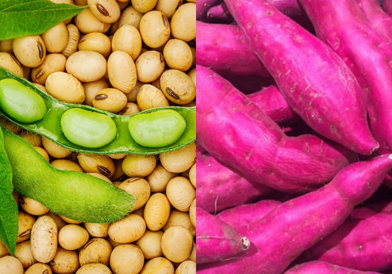 Soja e batata doce são alimentos saudáveis e baratos que podem ajudar sua saúde e seu bolso! Foto: Reprodução/Shutterstock.