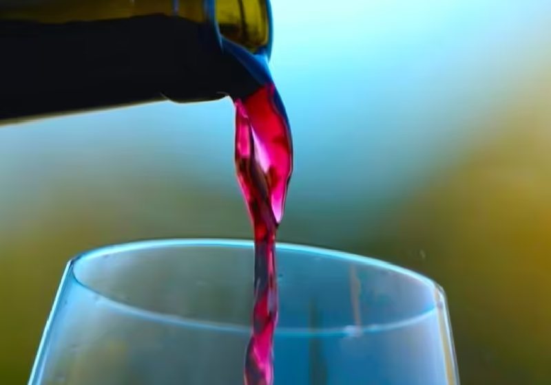 A pesquisa descobriu que consumo de vinho merlot de forma correta ajuda a remodelar em poucas semanas a microbiota intestinal e a conter doenças cardiovasculares - Foto: Alla_Gettyimages