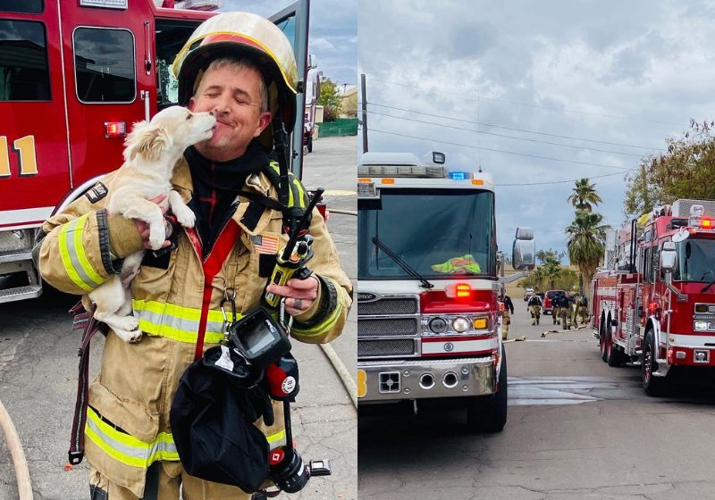 O cachorrinho foi salvo pelo bombeiro de um incêndio Ele agradeceu com lambeijos! Não é fofo? Foto: Reprodução/Facebook/Phoenix Fire Department.