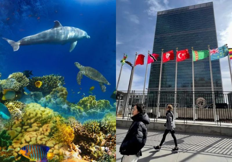 O acordo histórico assinado promete proteger a vida marinha de 30% dos oceanos até 2030. Foto: Reprodução/ Climainfo