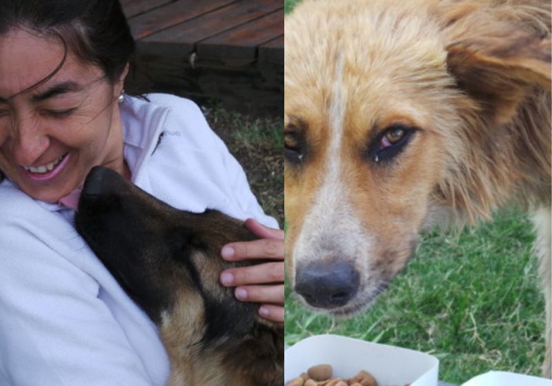 Muitos bichinhos já foram alimentados pelo casal ao longo dos 8 anos de estrada. Mas para Sérgio e Eleni, o mais importante são as novas experiências vividas a cada dia! Foto: Reprodução/Projeto Mundo Cão.