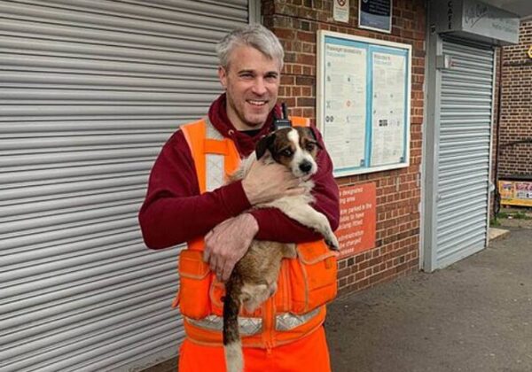 Feliz de poder voltar para casa, o filhote agradeceu ao funcionário que lhe salvou com muitos "lambeijos"! - Foto: Reprodução/Southeastern