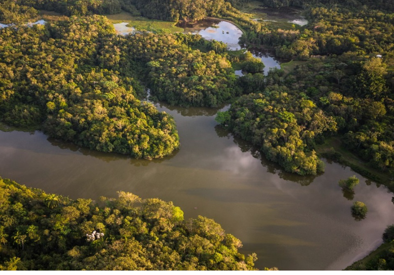 A Reserva Recológica de Guapiaçu, nas Cachoeiras da Macacu (RJ), onde o casal já plantou mais de 750 mil ávores. O local realiza diversas ações de educação ambiental com escolas da região. Foto: Reprodução/Reserva Ecológica de Guapiaçu/Facebook.