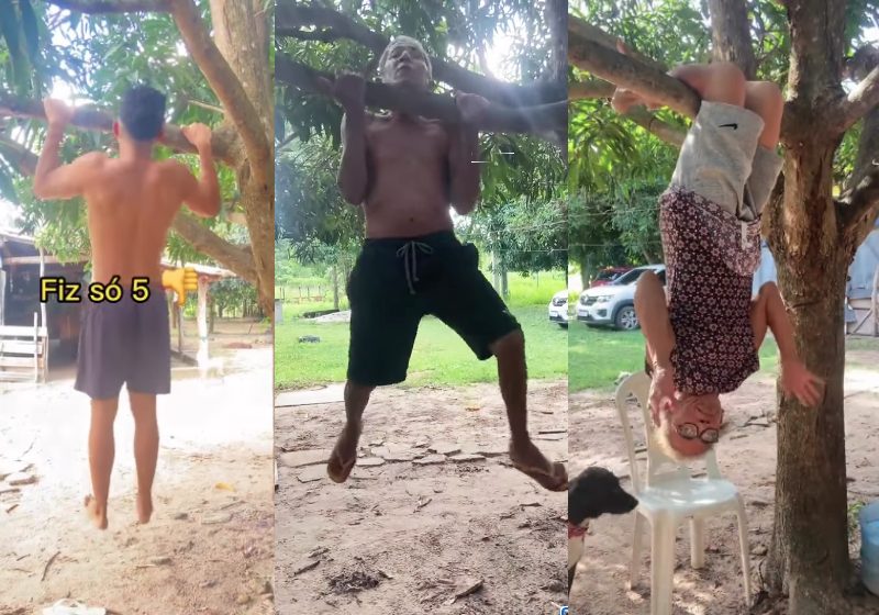 Ao chamar os vovôs fortões para um desafio de barras na árvore, o netinho achou que iria arrasar, mas não foi bem assim... Foto: Reprodução/@wellington_wv/Instagram.