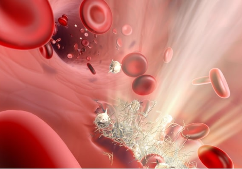 Os pesquisadores norte-americanos criaram um sistema bicomponente, que contém a hemorragia em pacientes. - Foto: Pìxabay