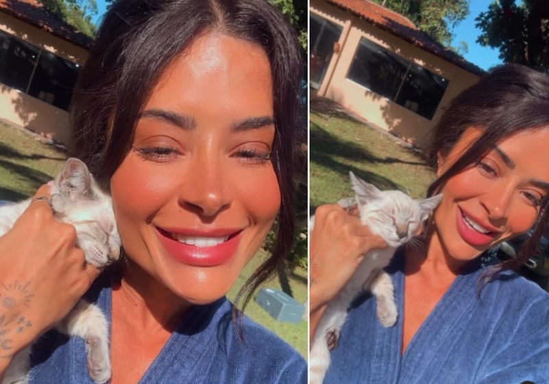 A atriz Aline Campos conta que achou o gatinho no camarim do trabalho e levou para casa - Fotos: reprodução / Instagram