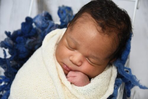 Muito fofinho! - Foto: Luana Andrioli