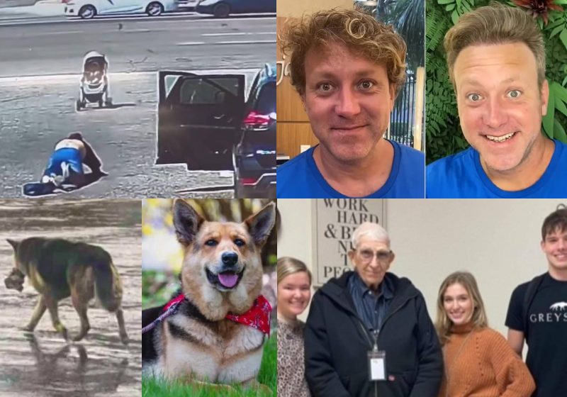 As boas ações mais lidas da semana no Só Notícia Boa. Jovens, idosos e animais protagonizaram cenas de empatia, saudade e solidariedade - Foto: montagem/SNB