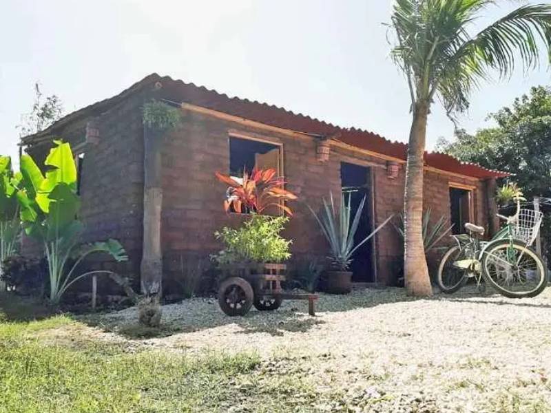 Com as algas recicladas, o jardineiro já conseguiu doar 10 casas para famílias carentes da comunidade onde vive. - Foto: Divulgação / SargaBlock